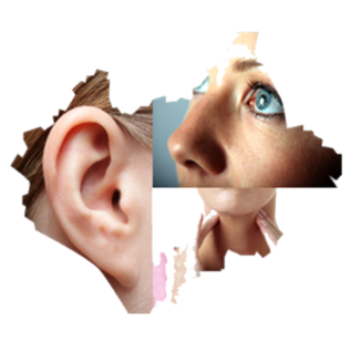 Service Image